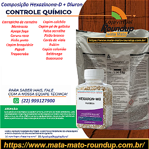 Herbicida Hexaron® WG Fracionado 100 gr - Composição Hexazinona + Diurom