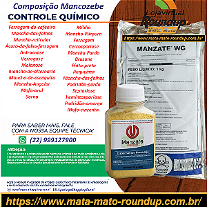 Fungicida Manzate 800 WP Fracionado 100 g - Composição Mancozebe