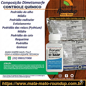 Fungicida Forum Fracionado 50 g - Composição Dimetomorfe