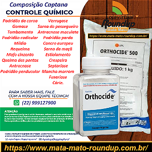 Fungicida Orthocide 500 Fracionado 100 gr - Composição Captana