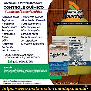 Fungicida Cabrio Top Fracionado 100 gr - Composição Metiram + Piraclostrobina