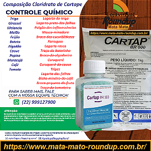 Fungicida Cartap br 500 Fracionado 100 gr - Composição Cloridrato de Cartape