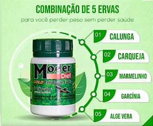 Moder Diet Original 2 POTES