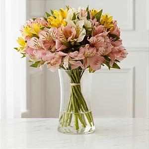 Buquê de Alstroemérias Mix no Vaso