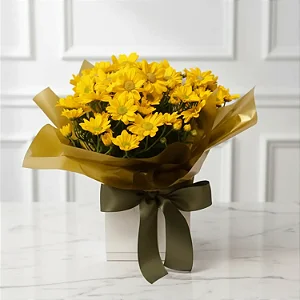 Linda Margarida! Amarelo