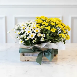 Jardineira de Margaridinhas