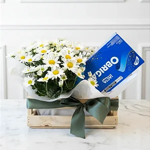 Jardineira de Margarida com Caixa de Bombom