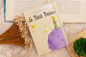 Case Pequeno Príncipe- My Secret Kindle