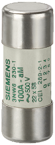 Fusível Cilínd 22X58Mm Am 100A 3NW8230-1 SIEMENS