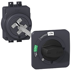 Manopla Prolongada Ezc100 EZAROTE SCHNEIDER
