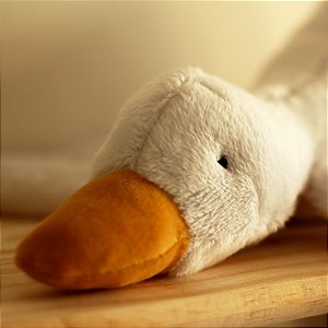 Naninha Pato Aconchego