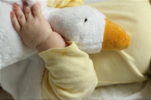 Naninha Pato Aconchego