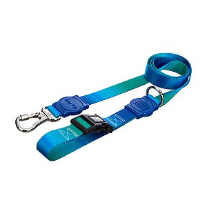 Guia Hold On Bangli Dog Trip Brasil