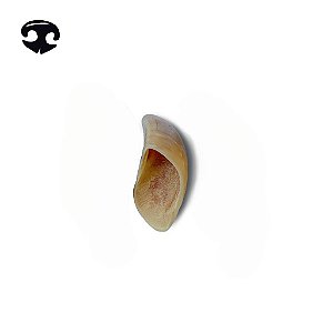 Casco Bovino 1 unidade - Luv