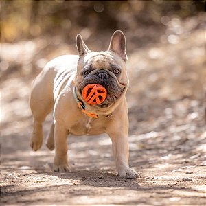 Chuckit! Air Fetch Ball Medium