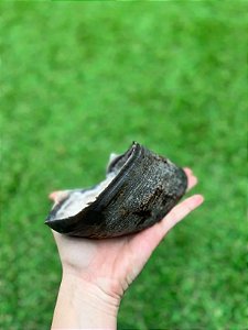 Casco de Búfalo 1un - Paparico