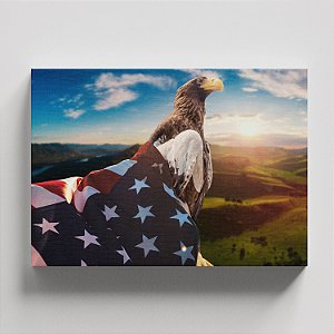Quadro Canvas Águia Bandeira EUA