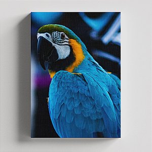 Quadro Canvas  Arara