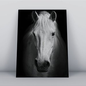 Quadro Canvas  Cavalo Branco