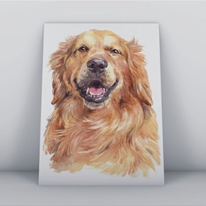 Quadro Canvas Cachorro Golden