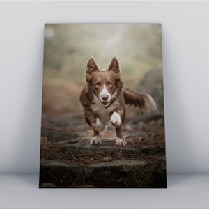 Quadro Canvas Cachorro Caçador