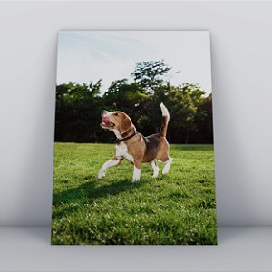 Quadro Canvas Cachorro Brincalhão
