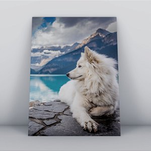 Quadro Canvas Cachorro Husky Albino