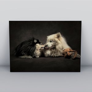 Quadro Canvas Cachorro  Preto e Branco