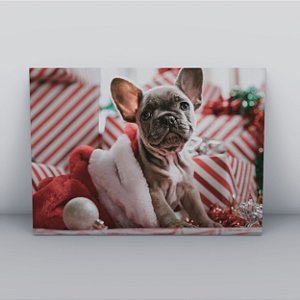 Quadro Canvas Cachorro Natalino