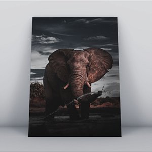 Quadro Canvas Elefante Dark