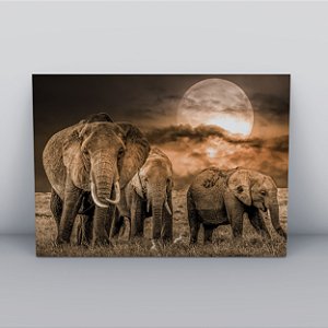 Quadro Canvas Manada de Elefante Cor