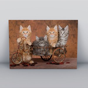 Quadro Canvas Conjunto Filhotes Gato