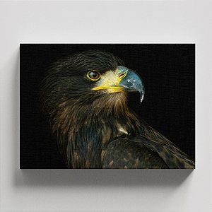 Quadro Canvas Ave de Rapina