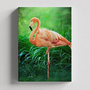 Quadro Canvas Flamingo