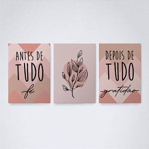 Trio Quadro Canvas Antes Depois Rosê
