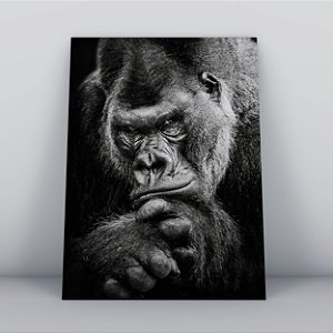 Quadro Canvas Macaco Pensador