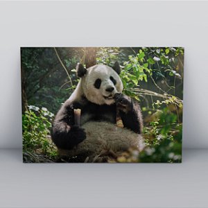 Quadro Canvas Panda