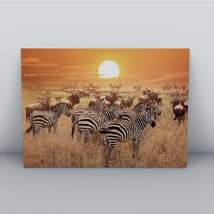 Quadro Canvas Manada de Zebras