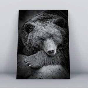 Quadro Canvas Urso Preguiçoso