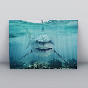 Quadro Canvas Tubarão