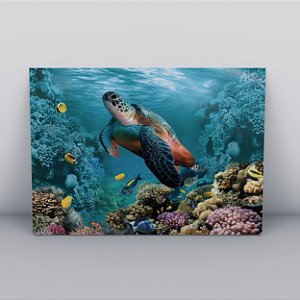 Quadro Canvas Tartaruga Marinha