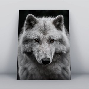 Quadro Canvas Lobo Branco