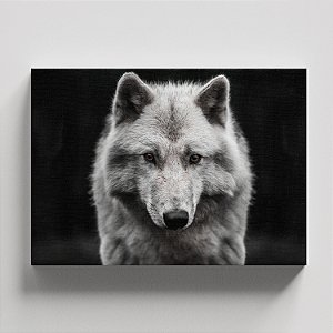Quadro Canvas Lobo