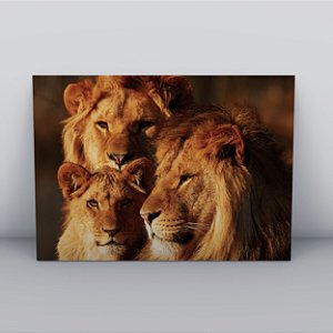 Quadro Canvas Leão Família