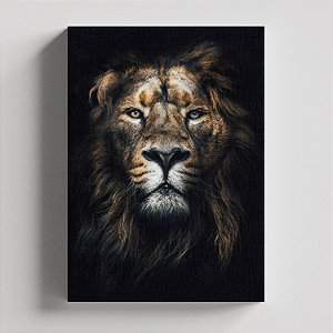 Quadro Canvas Foto P&D Leão
