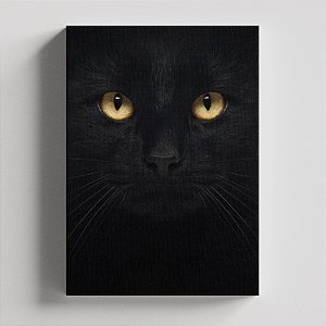 Quadro Canvas Gato Preto