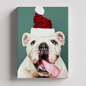 Quadro Canvas Cachorro Gorro de Natal 052
