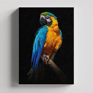 Quadro Canvas Arara Canindé 30cmX45cm Borda Infinita CHASSI 2cm OUTLET