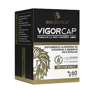 Suplemento Alimentar Vigorcap B6 D Zinco Bioceutica 60 Caps Sabor Vitaminas E Minerais