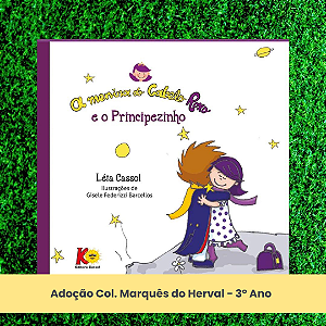 Adoção A Menina do Cabelo Roxo e o principezinho - Col. Marquês do Herval - 3º Ano (inclui atividade com a autora Léia Cassol)